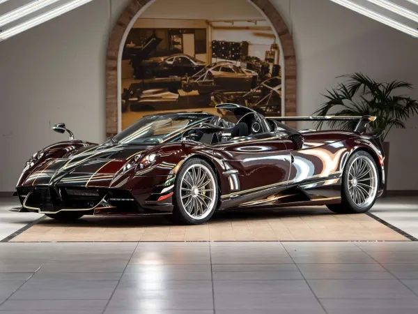 "Pagani Huayra Dinamica Evo": unikalus roadsteris su kobros formos oro įsiurbimo angomis